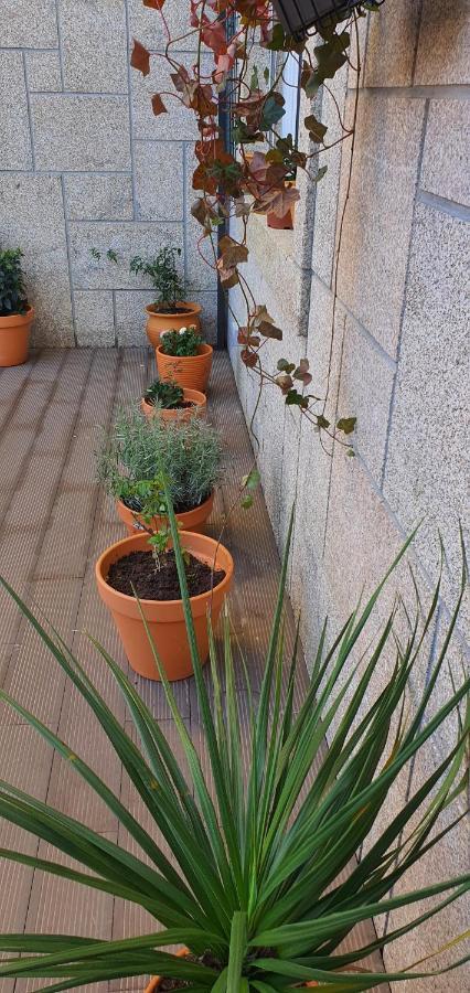 O Terraco Florido Διαμέρισμα Viseu Εξωτερικό φωτογραφία